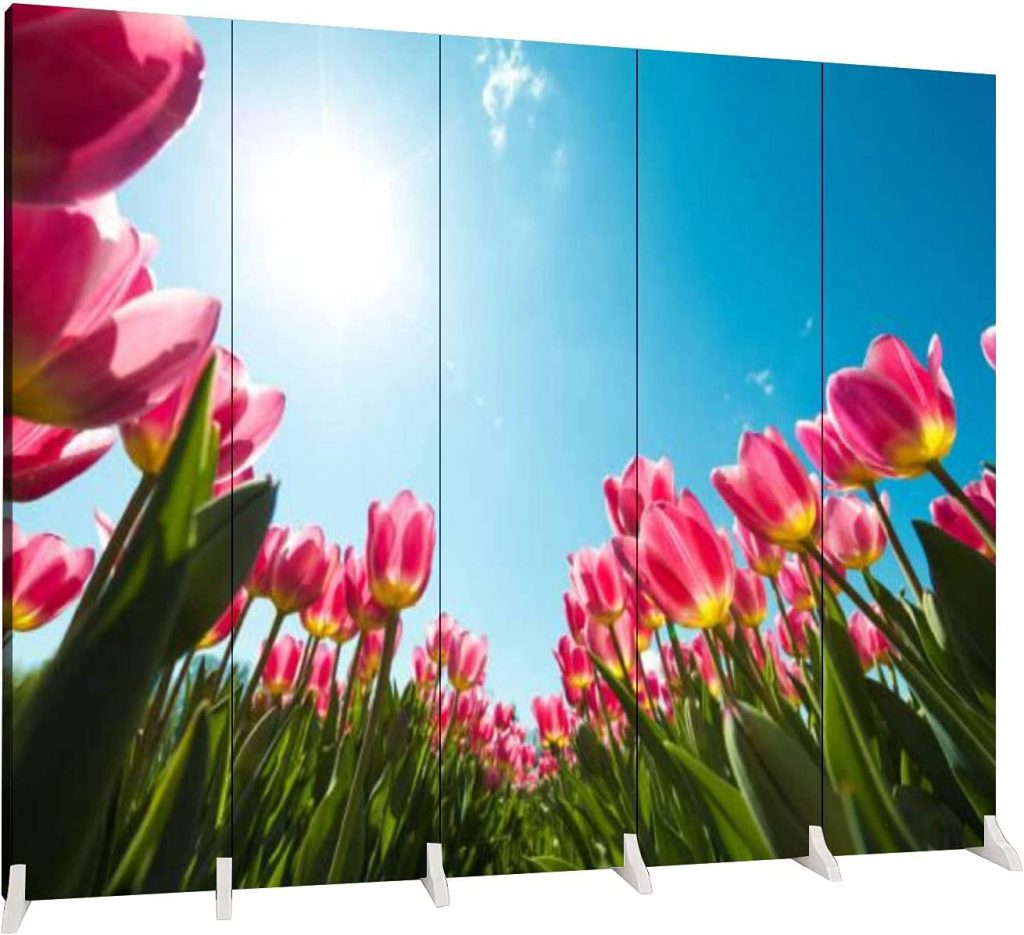 5-Panel Canvas Screen Room Divider Tulip Field