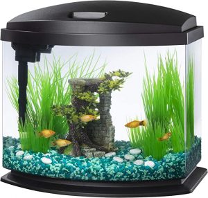 Sand vs Gravel Aquarium Substrate: Which is Better?