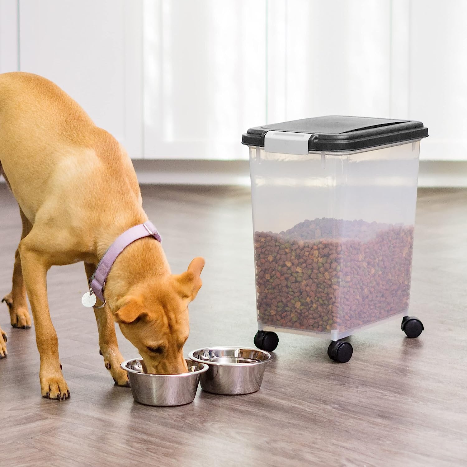 12 Best Pet Food Storage Container For 2024