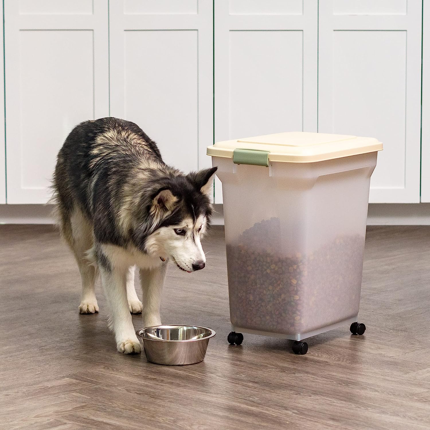 14 Best Dog Food Storage Container For 2023