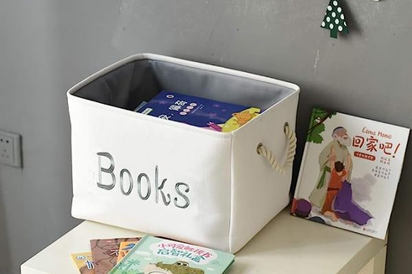 Our Guide to The 5 Best Book Storage Boxes