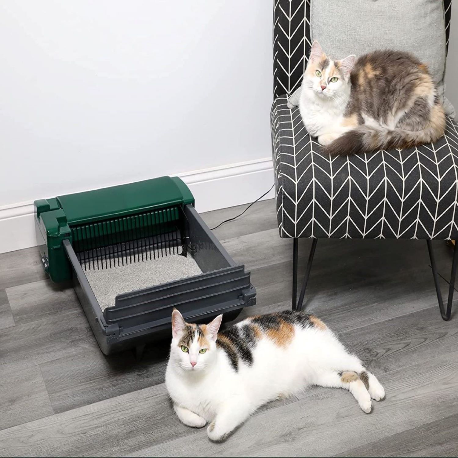 What Are The Best Self Cleaning Litter Boxes