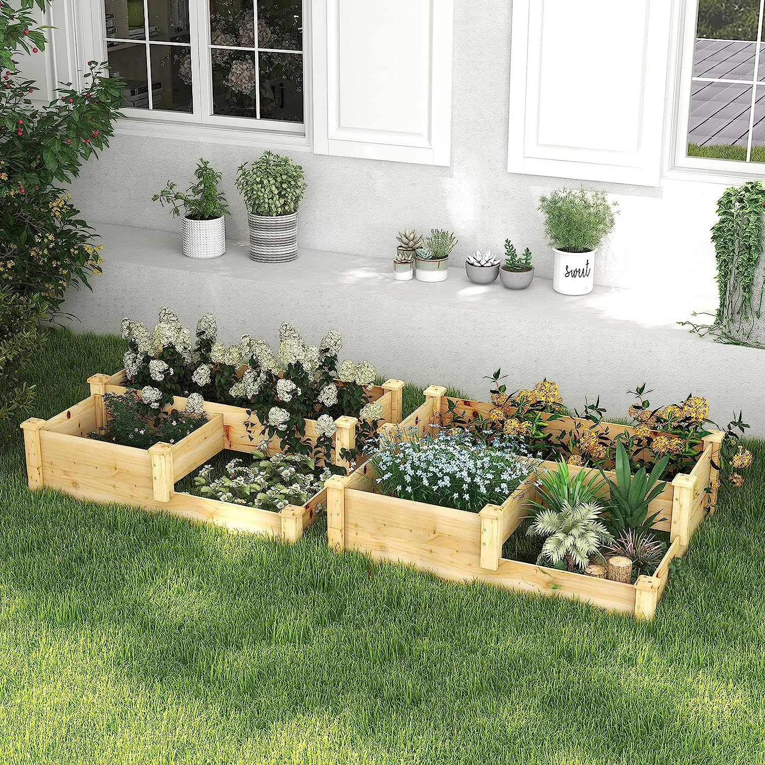 What To Plant In Planter Boxes