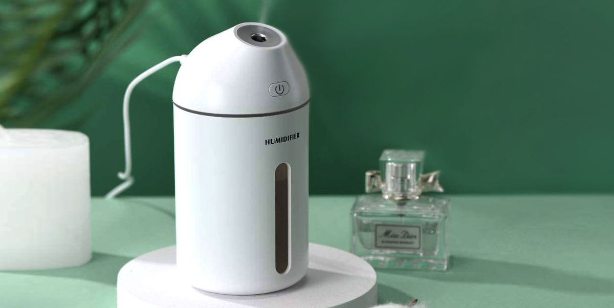 10 Amazing Portable Humidifier for 2024
