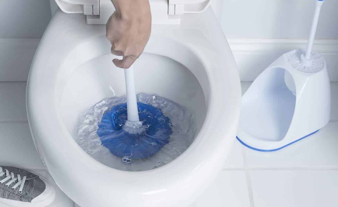10 Amazing Toilet Brush for 2024