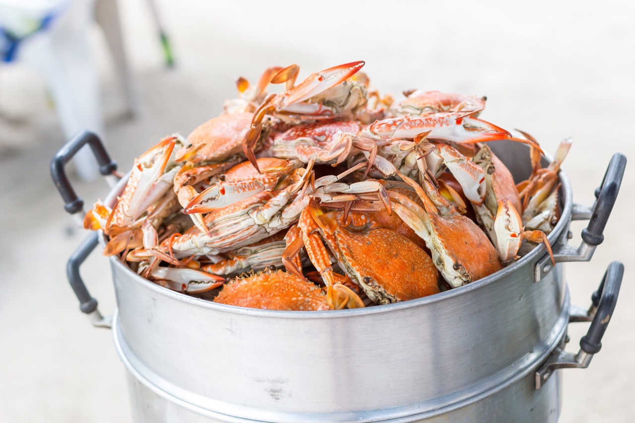 10 Best Crab Pot Steamer for 2024