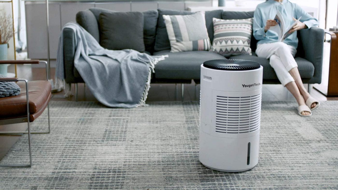 10 Best House Humidifier for 2024