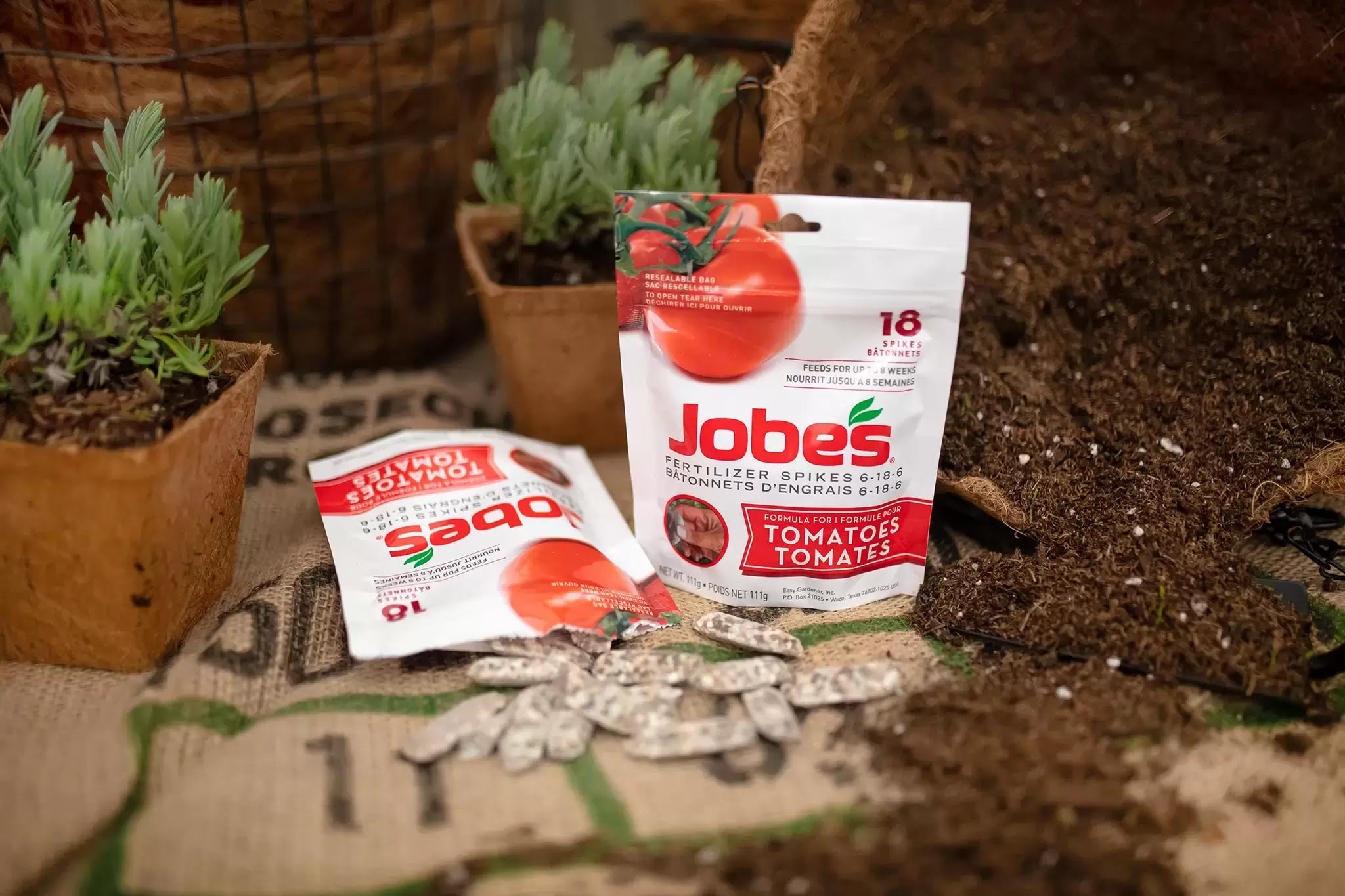 10 Best Tomato Fertilizer Spikes for 2023