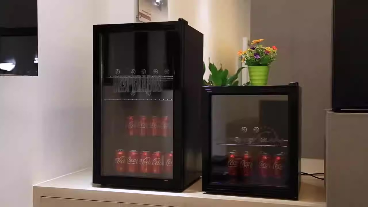 11 Amazing Mini Refrigerator Glass Door for 2023