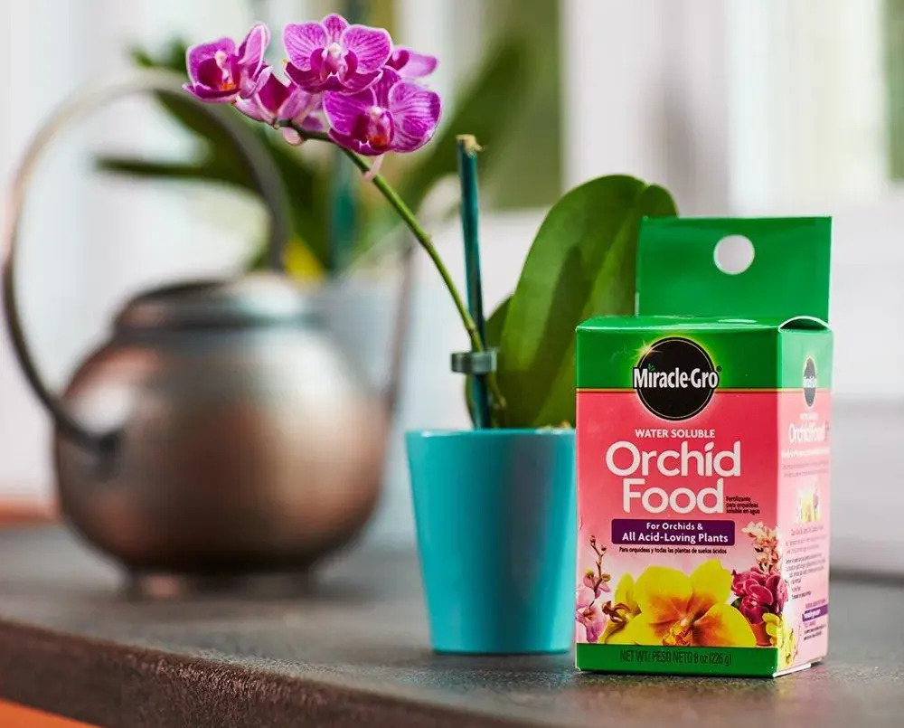 11 Amazing Orchid Food Fertilizer for 2023