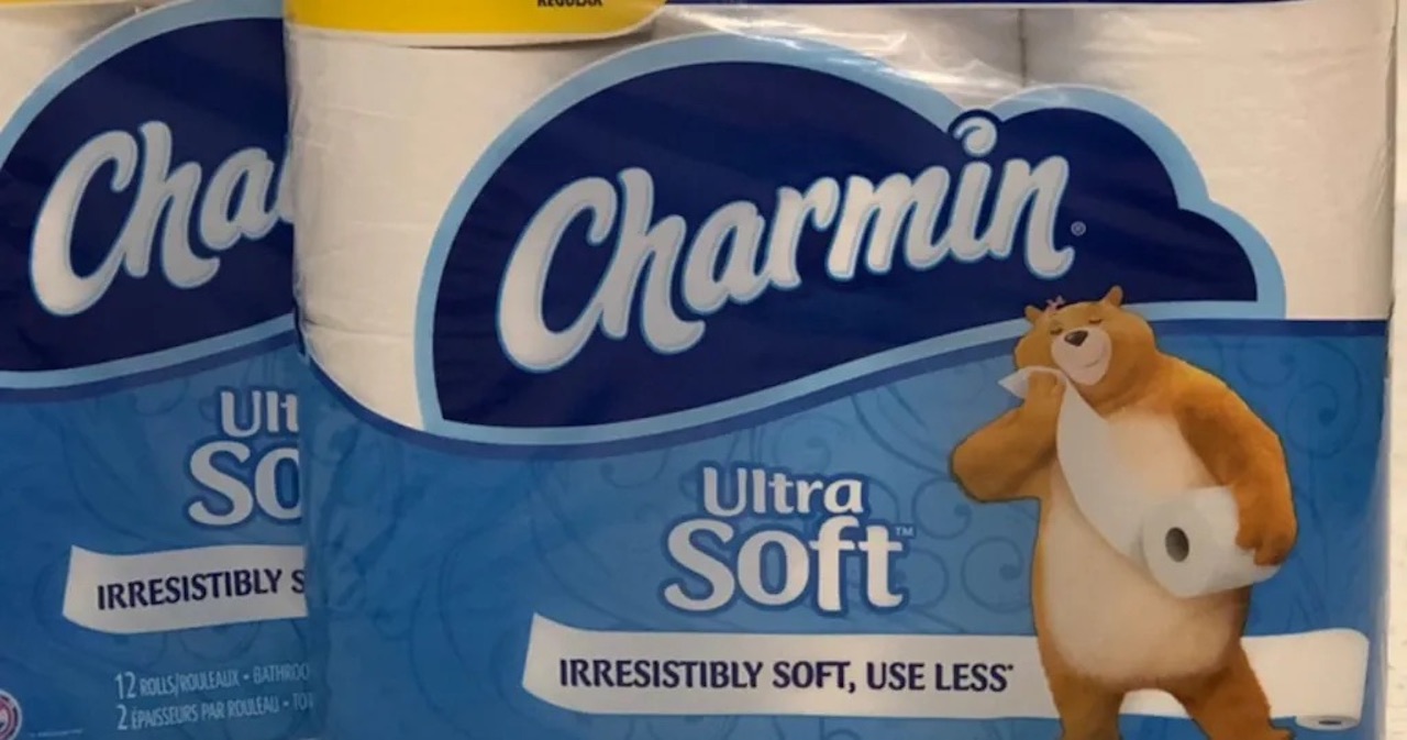 11 Amazing Toilet Paper Charmin for 2024