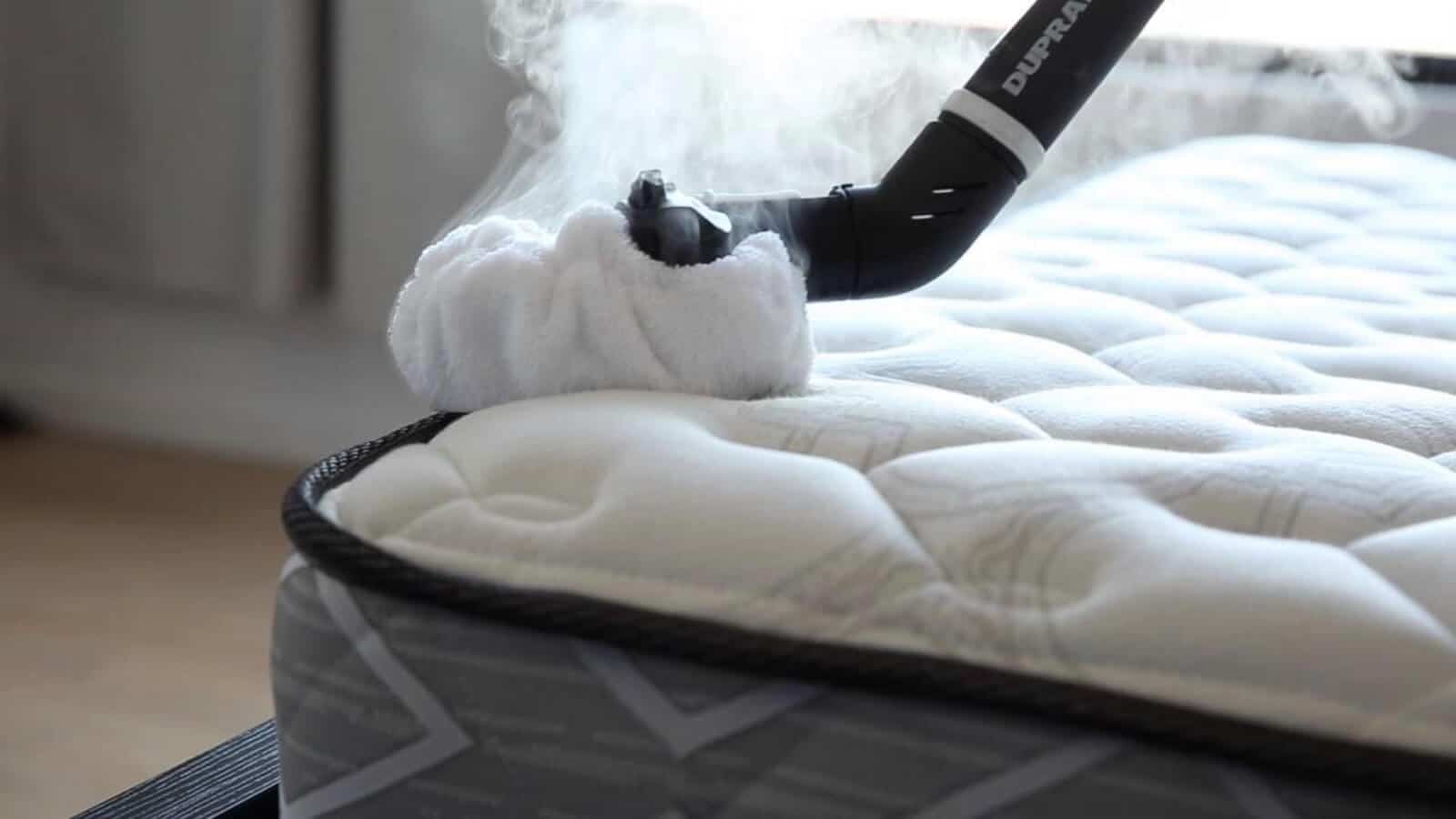 11 Best Bed Bug Steamer for 2024
