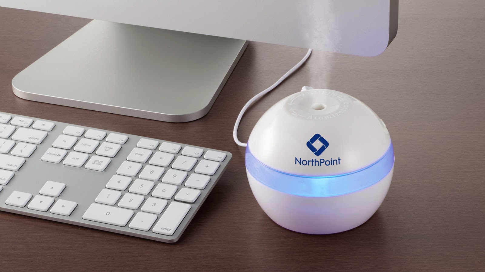 11 Best Desktop Humidifier for 2024