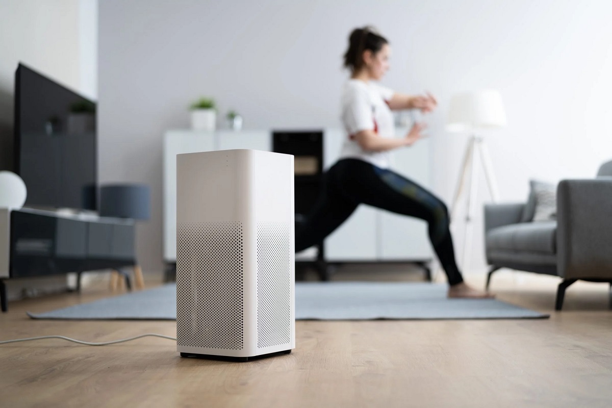 11 Best Ionizer Air Purifier For 2024 Storables