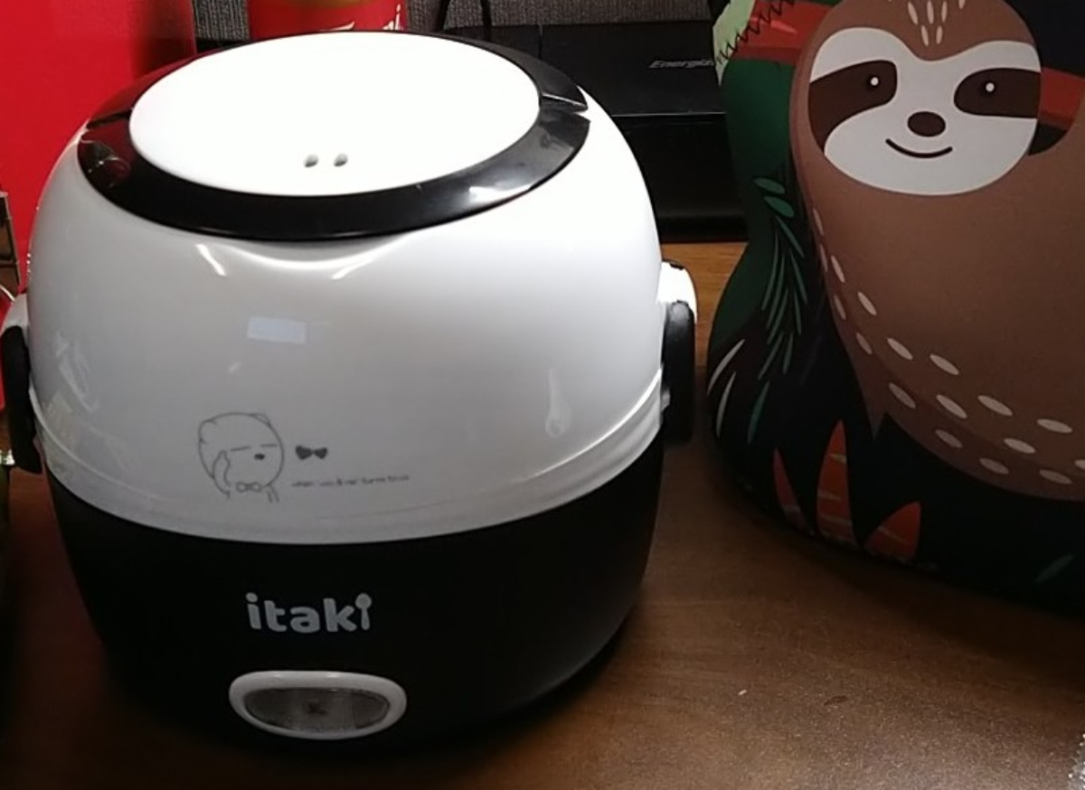 11 Best Itaki Steamer Lunchbox for 2024