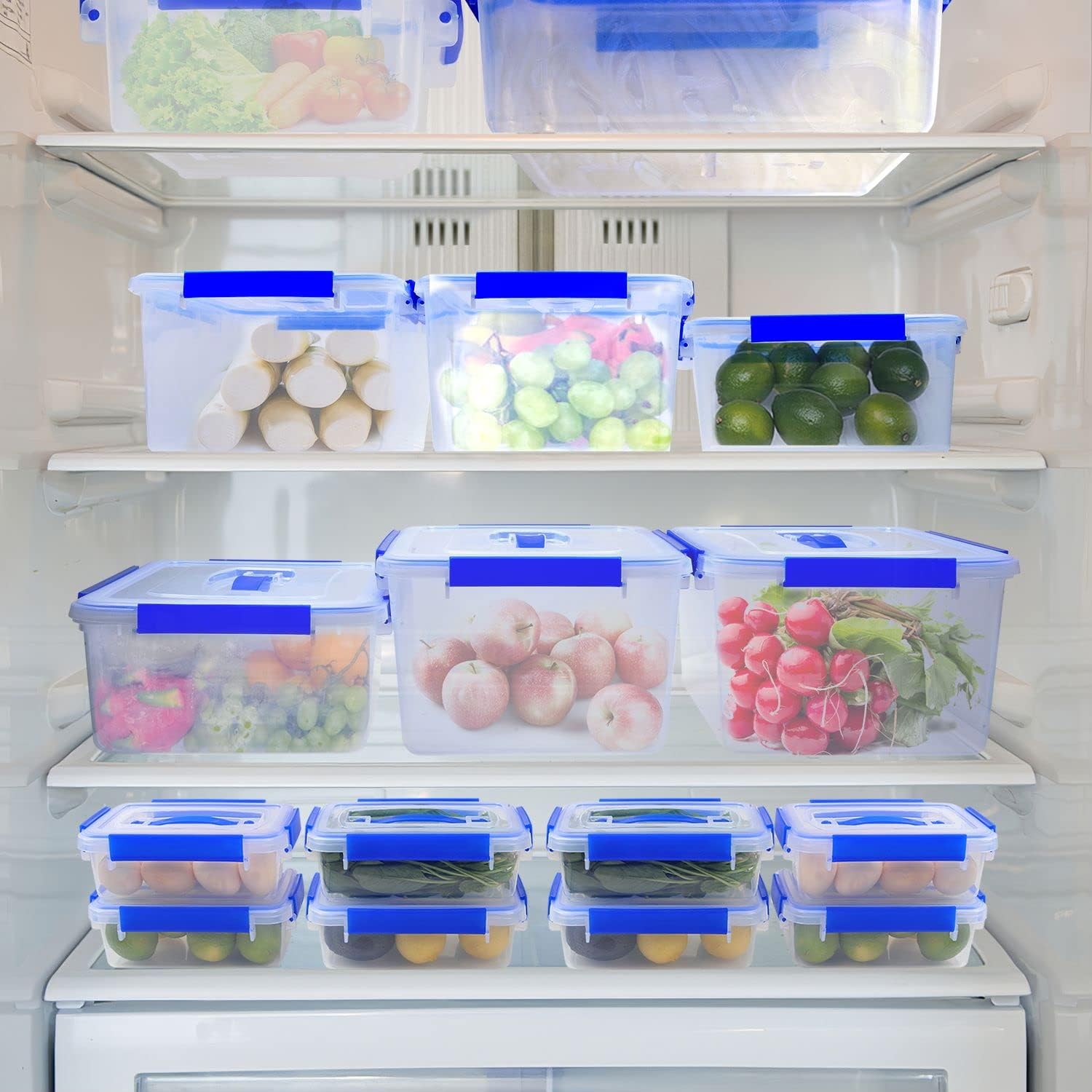 11 Best Large Food Storage Container For 2023