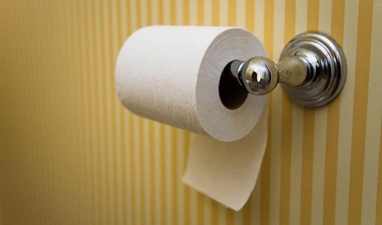 11 Best RV Toilet Paper for 2024