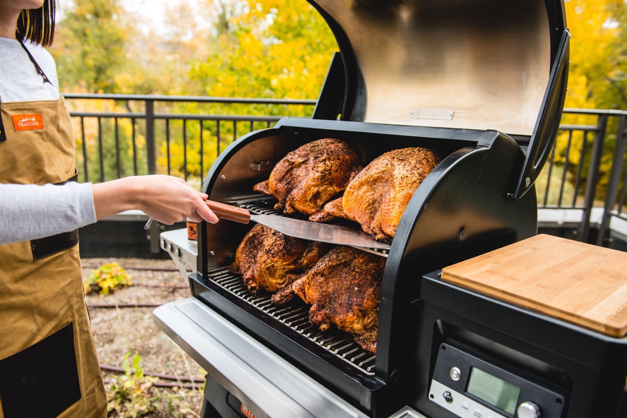 11 Best Traeger Grill for 2024