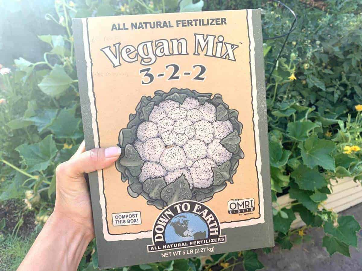 11 Best Vegan Fertilizer for 2024