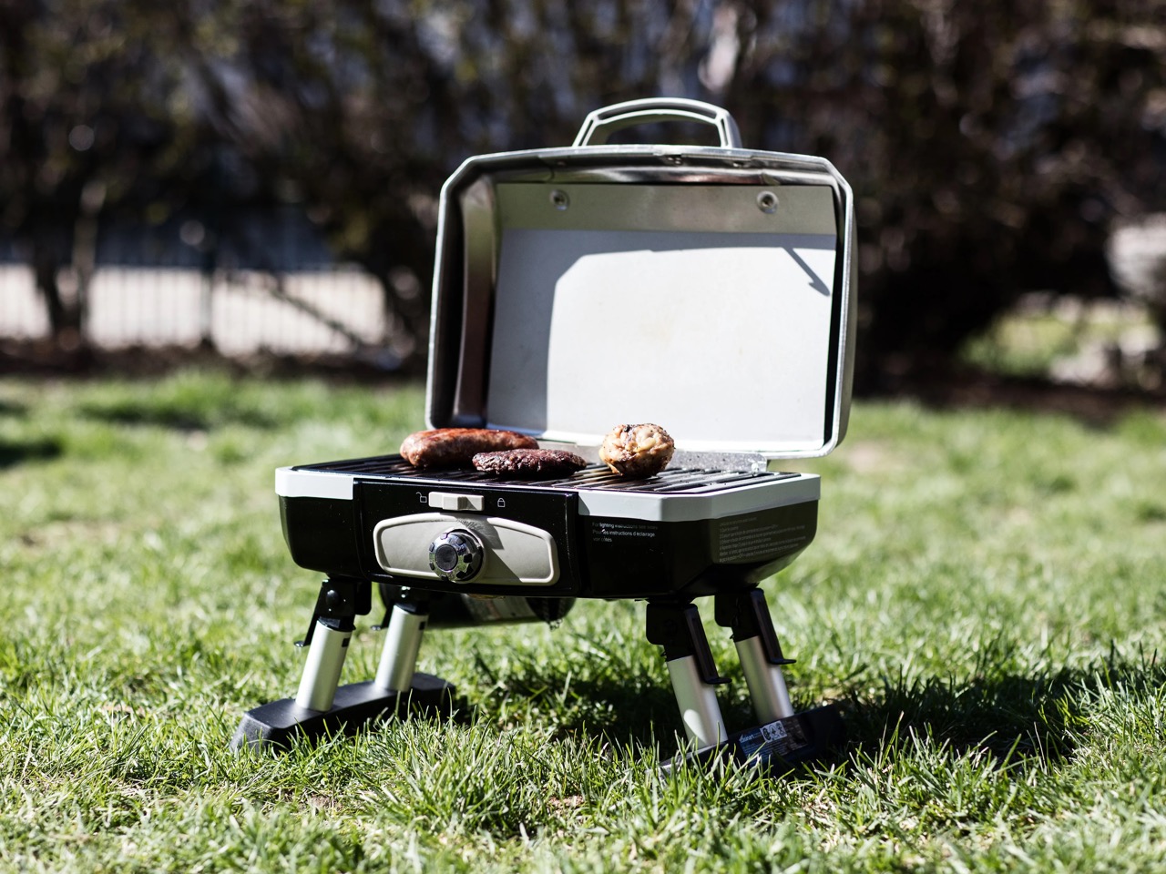12 Amazing Portable Gas Grill for 2024