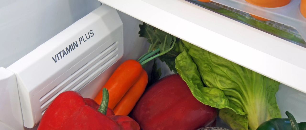12 Amazing Compact Refrigerator Without Freezer for 2024
