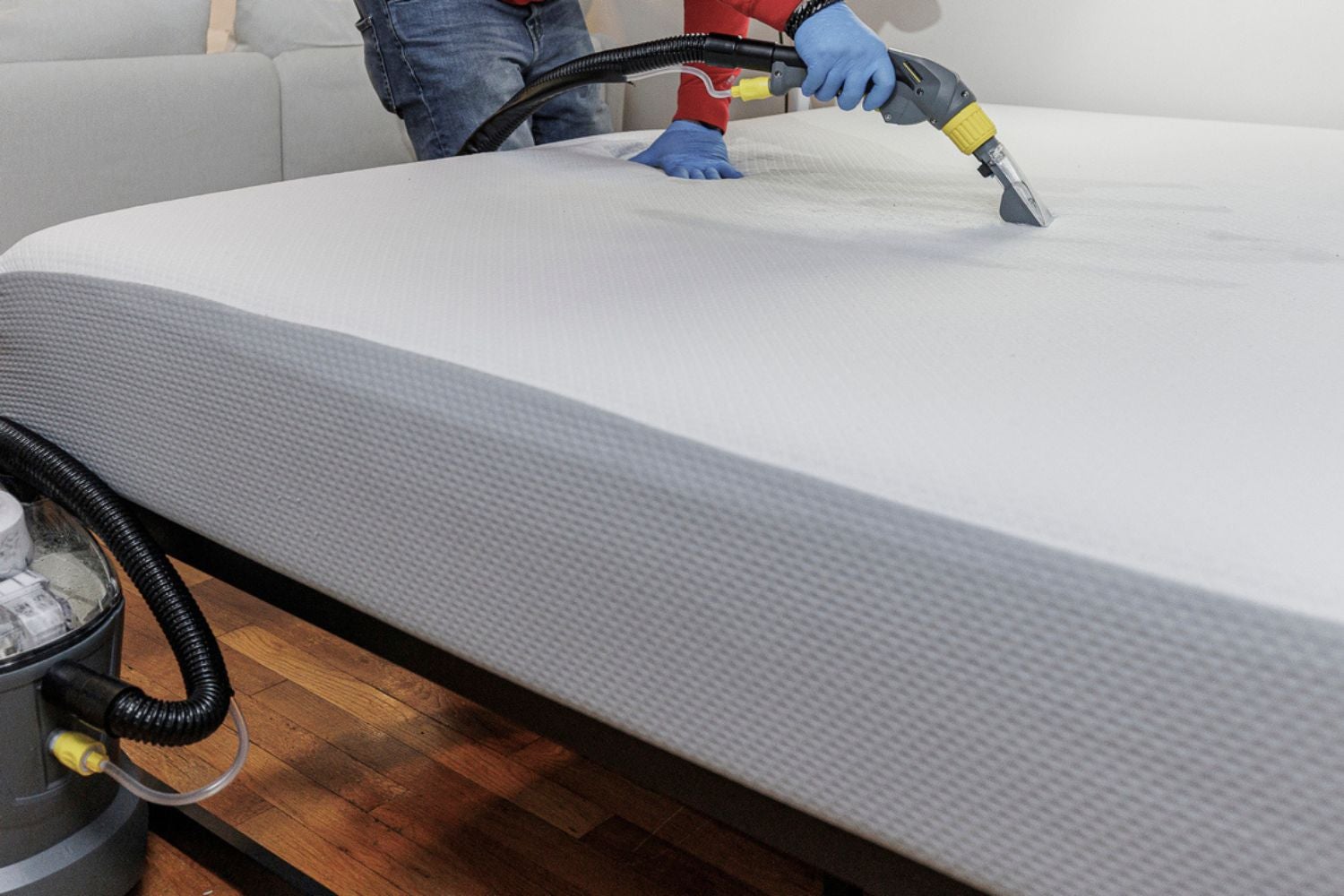 12 Amazing Steamer For Bed Bugs for 2024