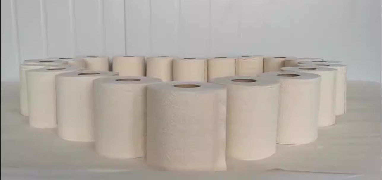 12 Amazing Toilet Paper Bulk for 2024