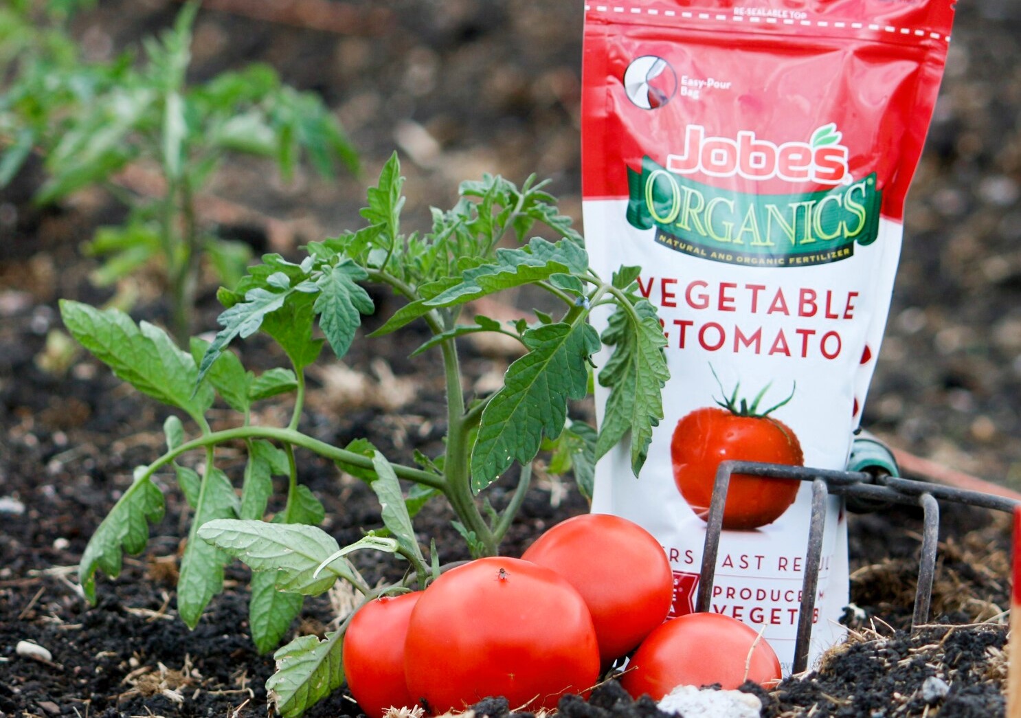 12 Amazing Tomato Fertilizer Organic for 2023