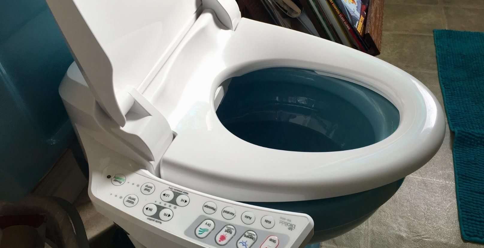 12 Best Heated Toilet Seat for 2024