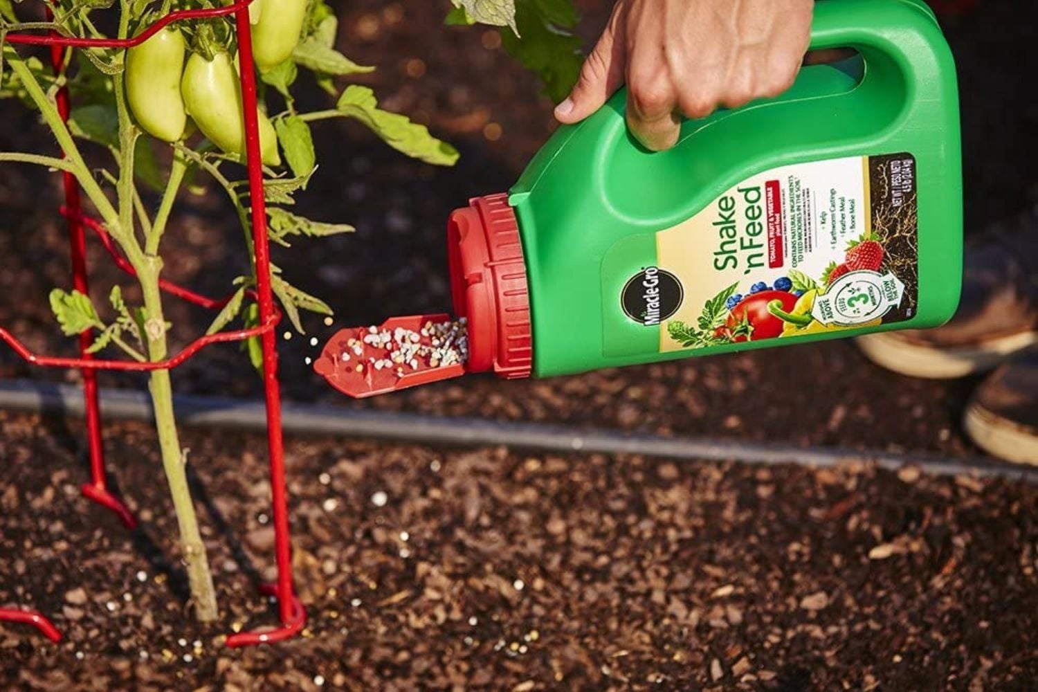 12 Best Pepper Fertilizer for 2024