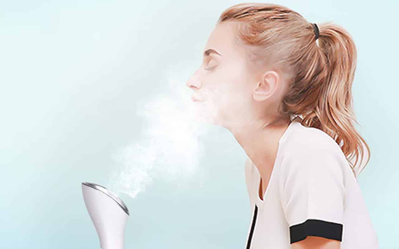 12 Best Professional Facial Steamer for 2024