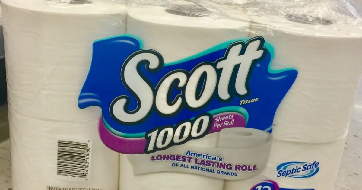 12 Best Scott Toilet Paper 1000 Sheet for 2024