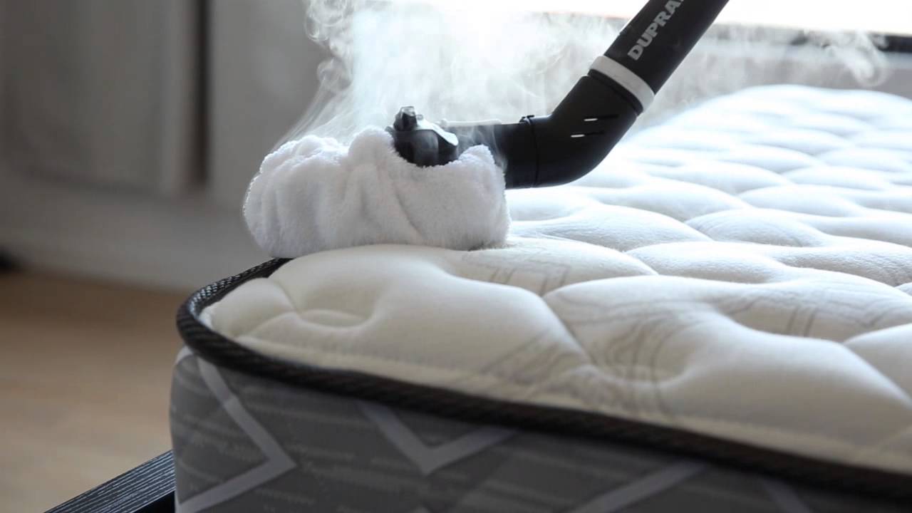 13 Amazing Bed Bug Steamer High Temperature for 2024