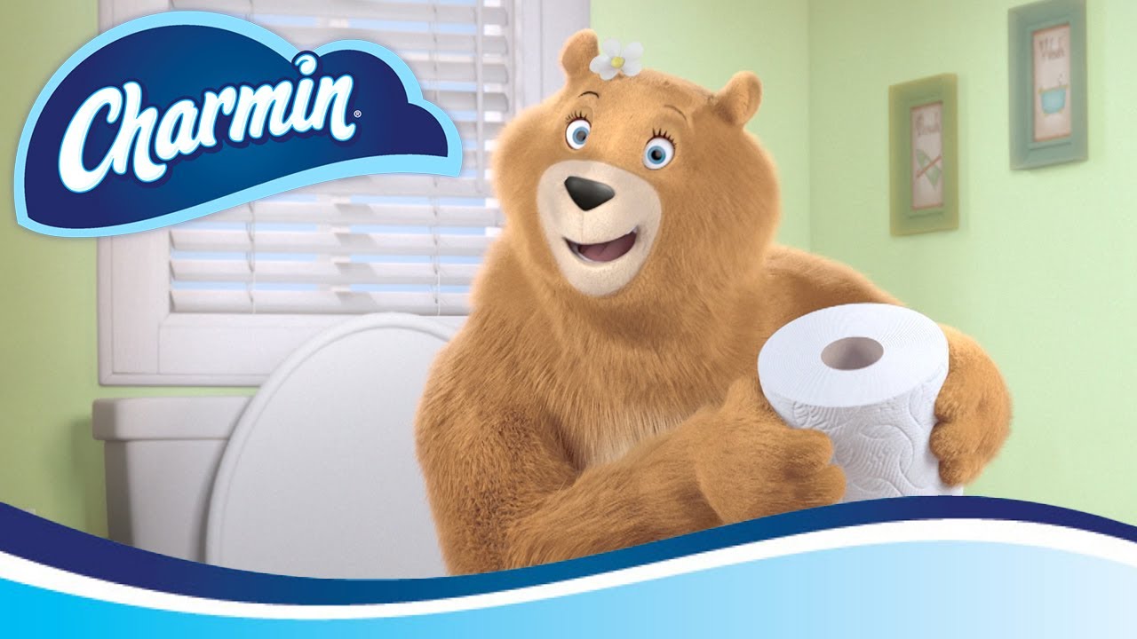 13 Amazing Charmin Toilet Paper for 2024