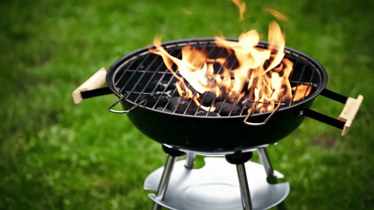 13 Amazing Gas Grill for 2024