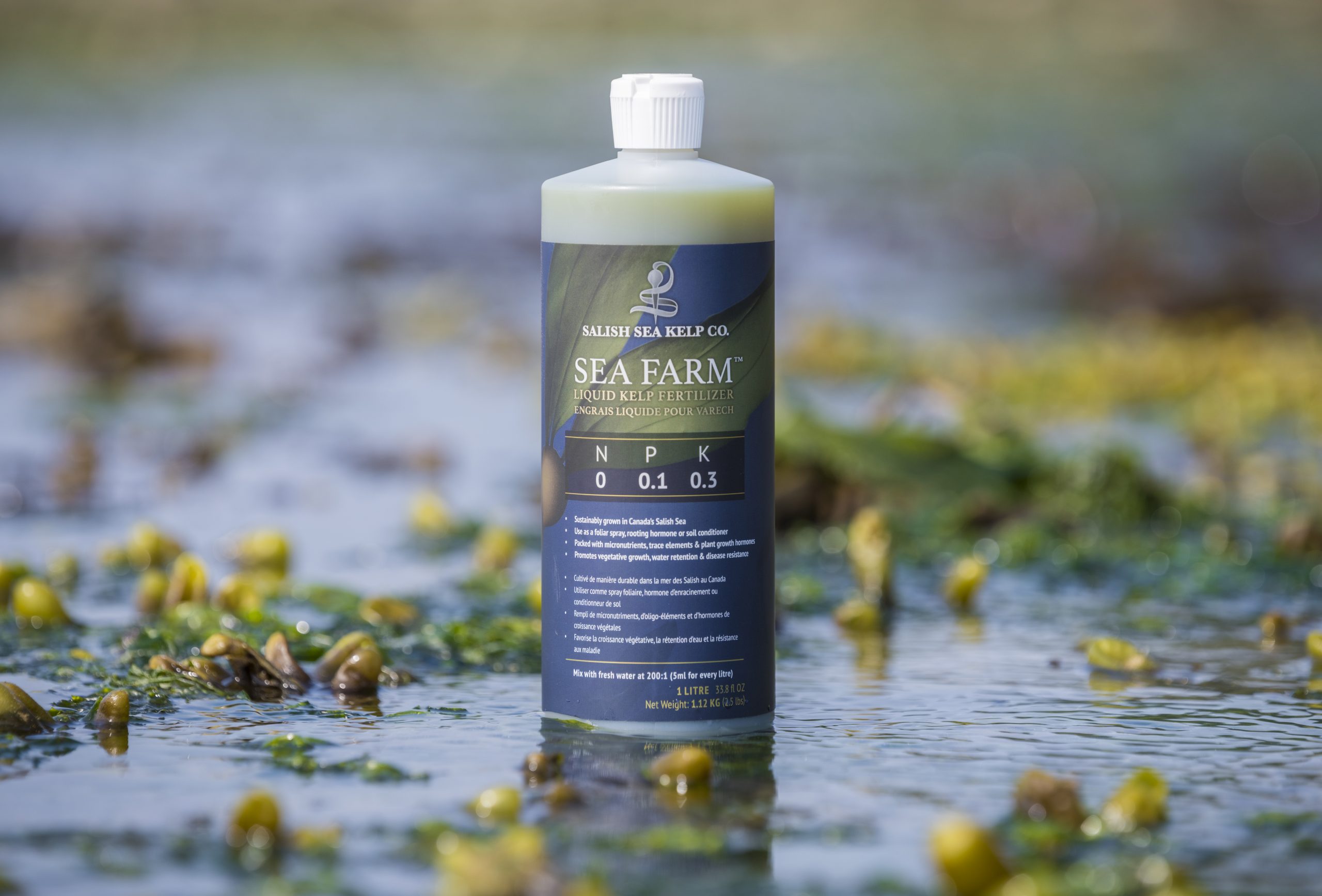 13 Amazing Liquid Kelp Fertilizer for 2023