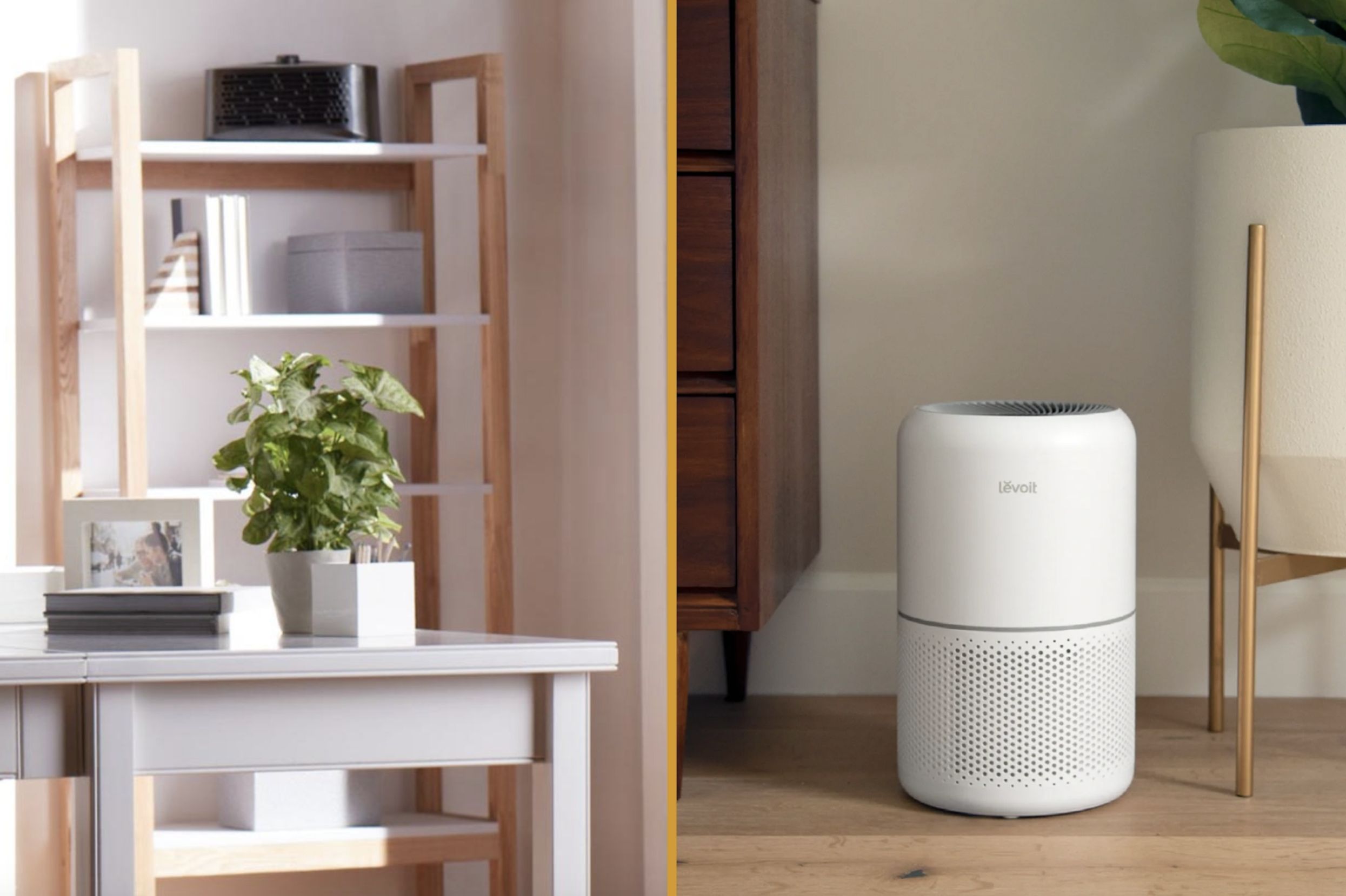 13 Best Air Purifier For Home For 2023