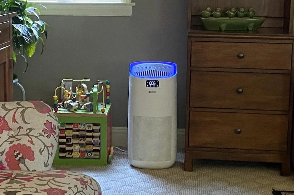 13 Best Air Purifier Large Room For 2024