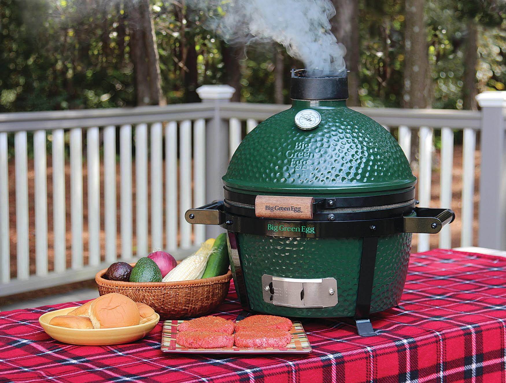 13 Best Green Egg Grill for 2024
