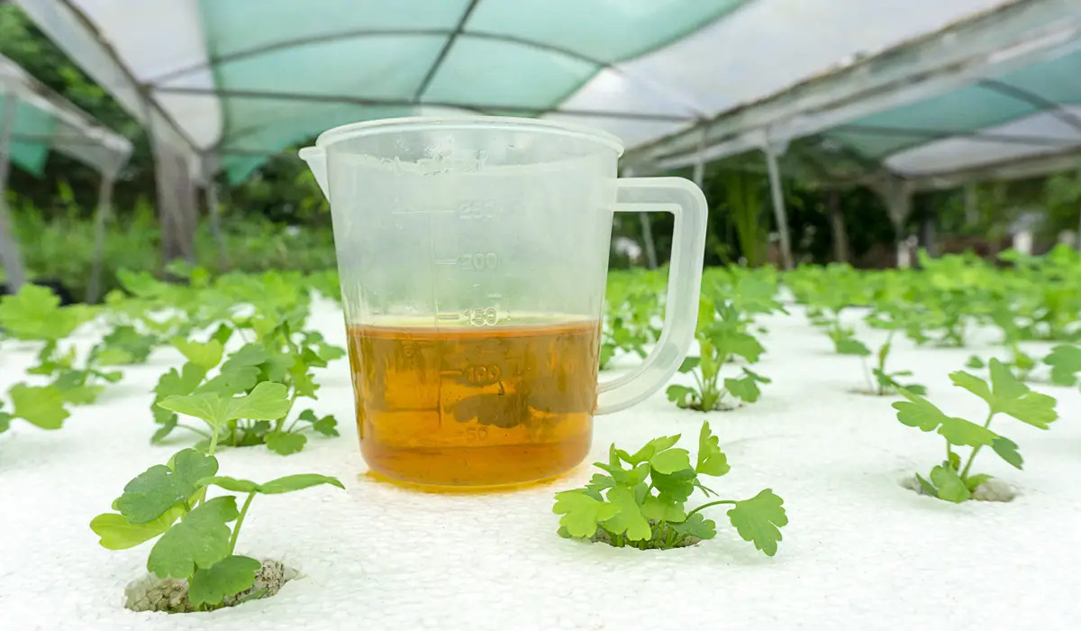 13 Best Hydroponic Fertilizer for 2024