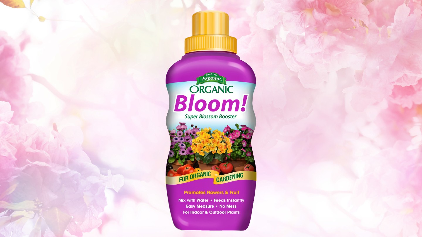 13 Best Organic Bloom Fertilizer for 2024