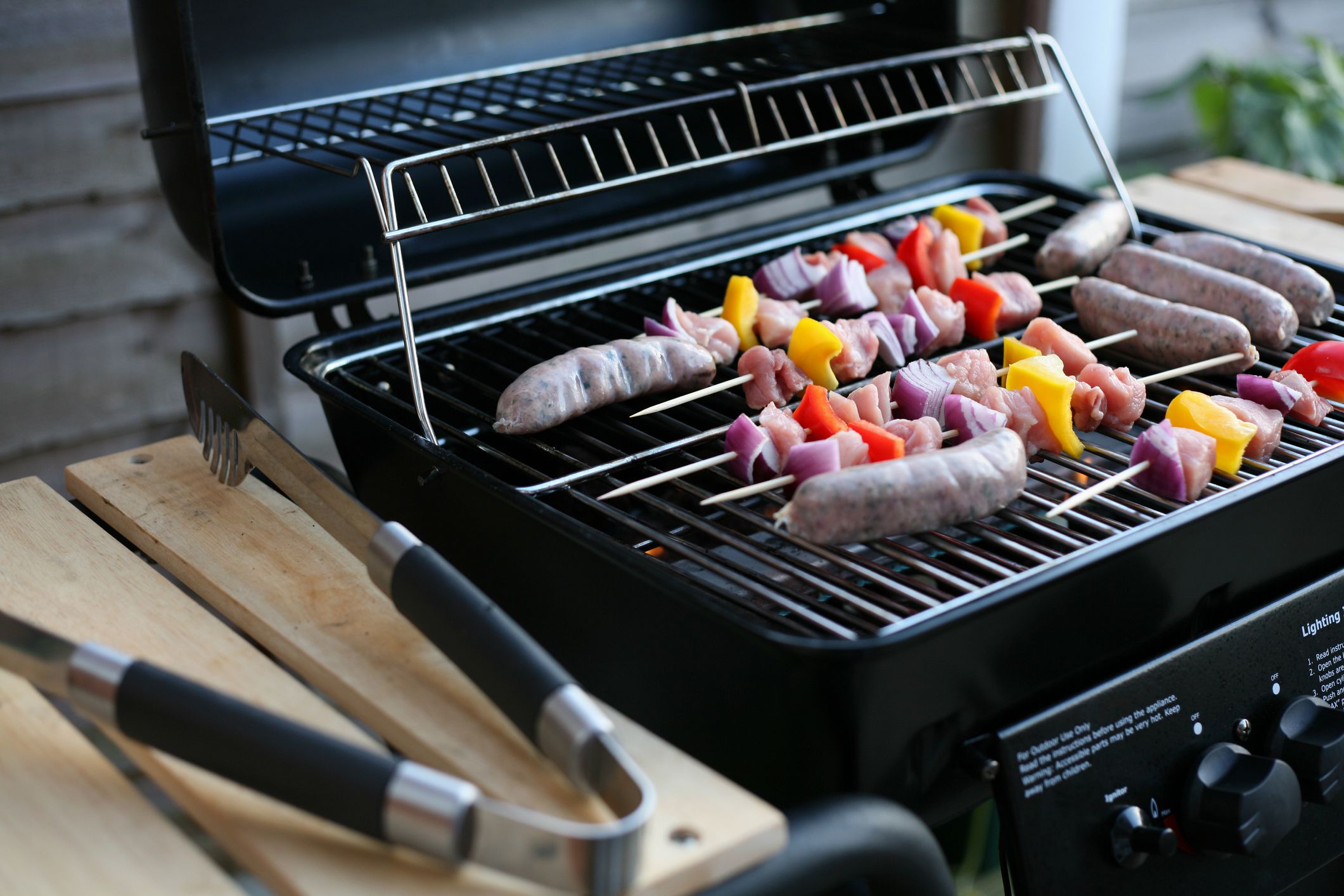13 Best Portable Grill for 2024