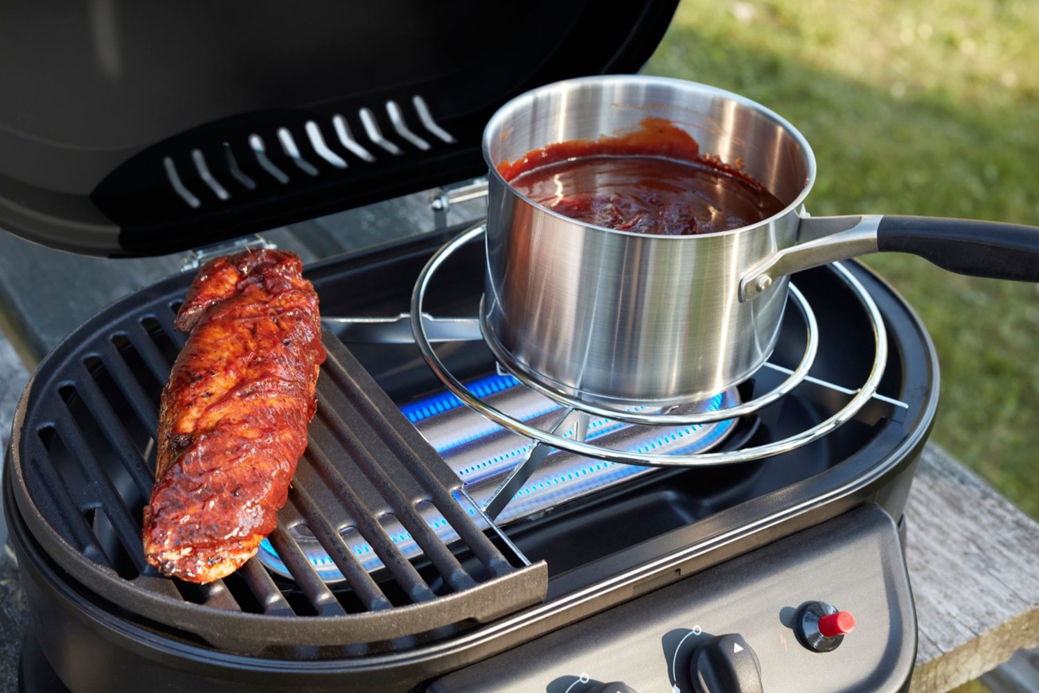 13 Best Portable Grill Propane for 2024