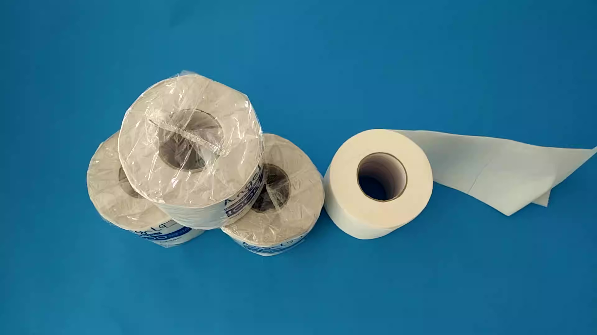 13 Best Recycled Toilet Paper for 2024