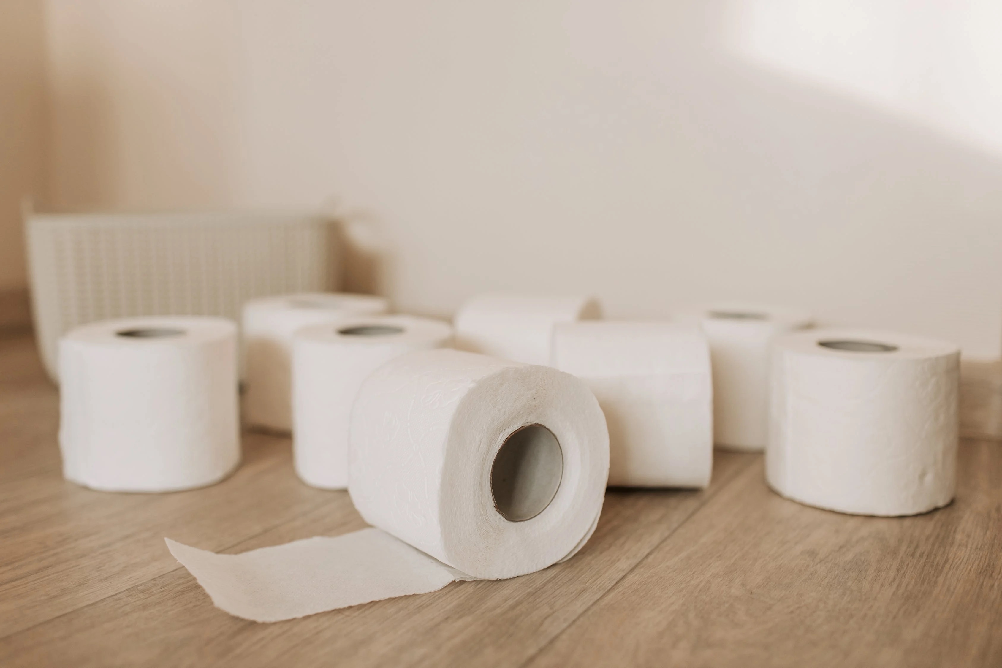 13 Best Toilet Paper Rolls for 2023