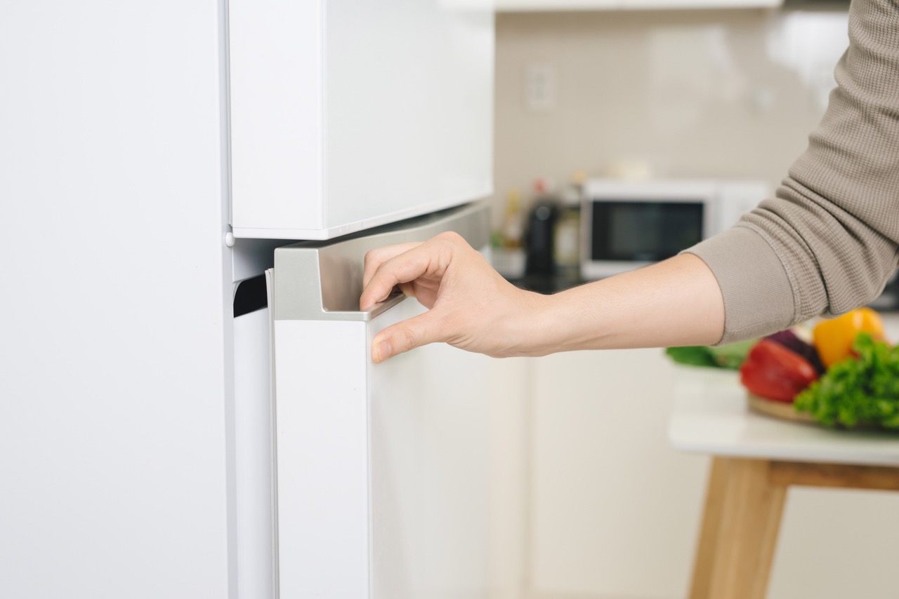 14 Amazing Life On The Refrigerator Door for 2023
