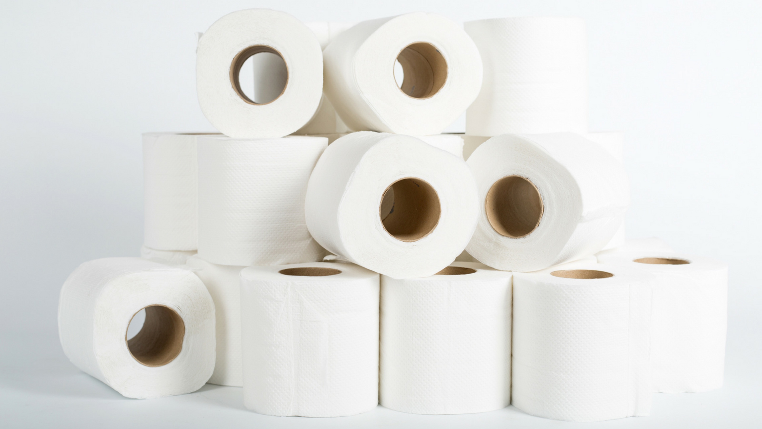 14 Amazing Toilet Paper for 2023