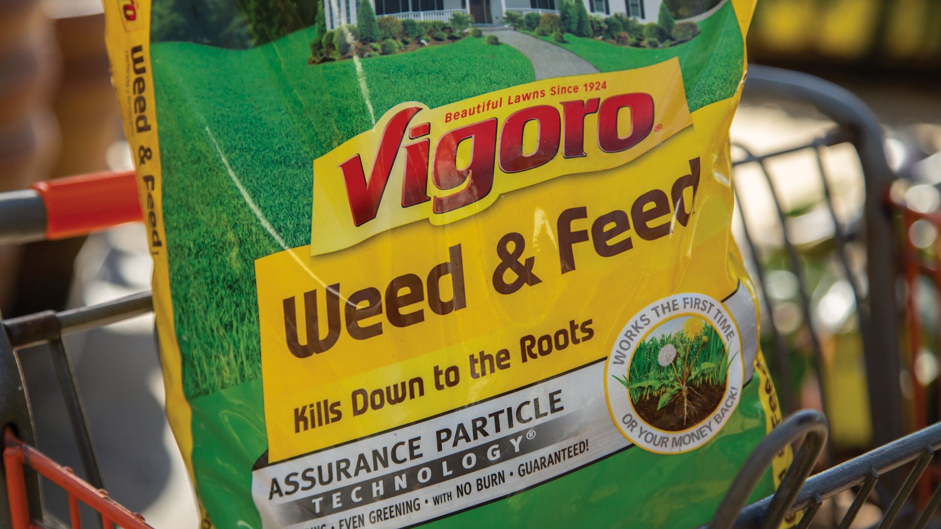 14 Amazing Vigoro Fertilizer for 2024
