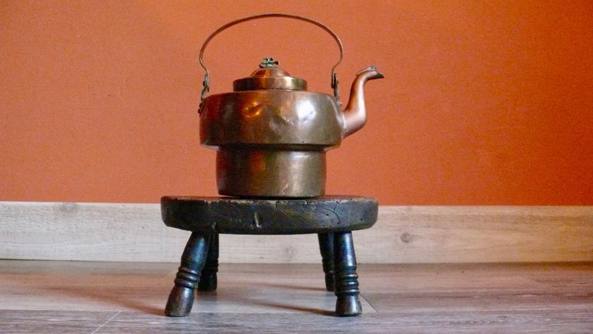 https://storables.com/wp-content/uploads/2023/07/14-amazing-wood-stove-steamer-for-2023-1690451847.jpg