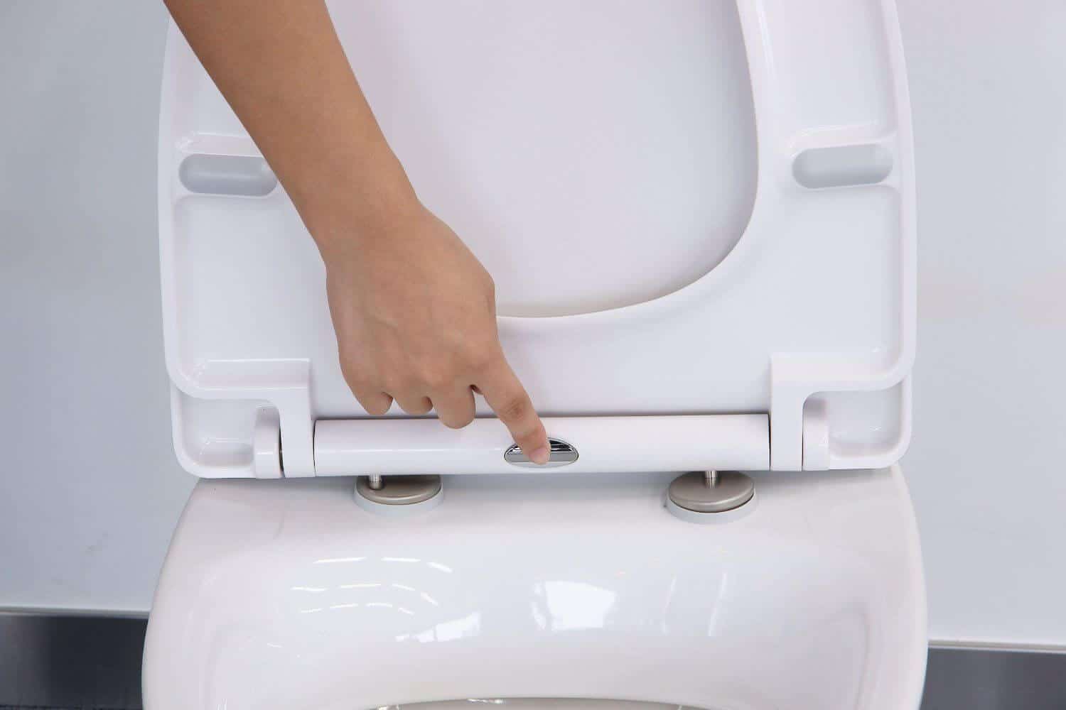 14 Best Elongated Toilet Seat Slow Close for 2023